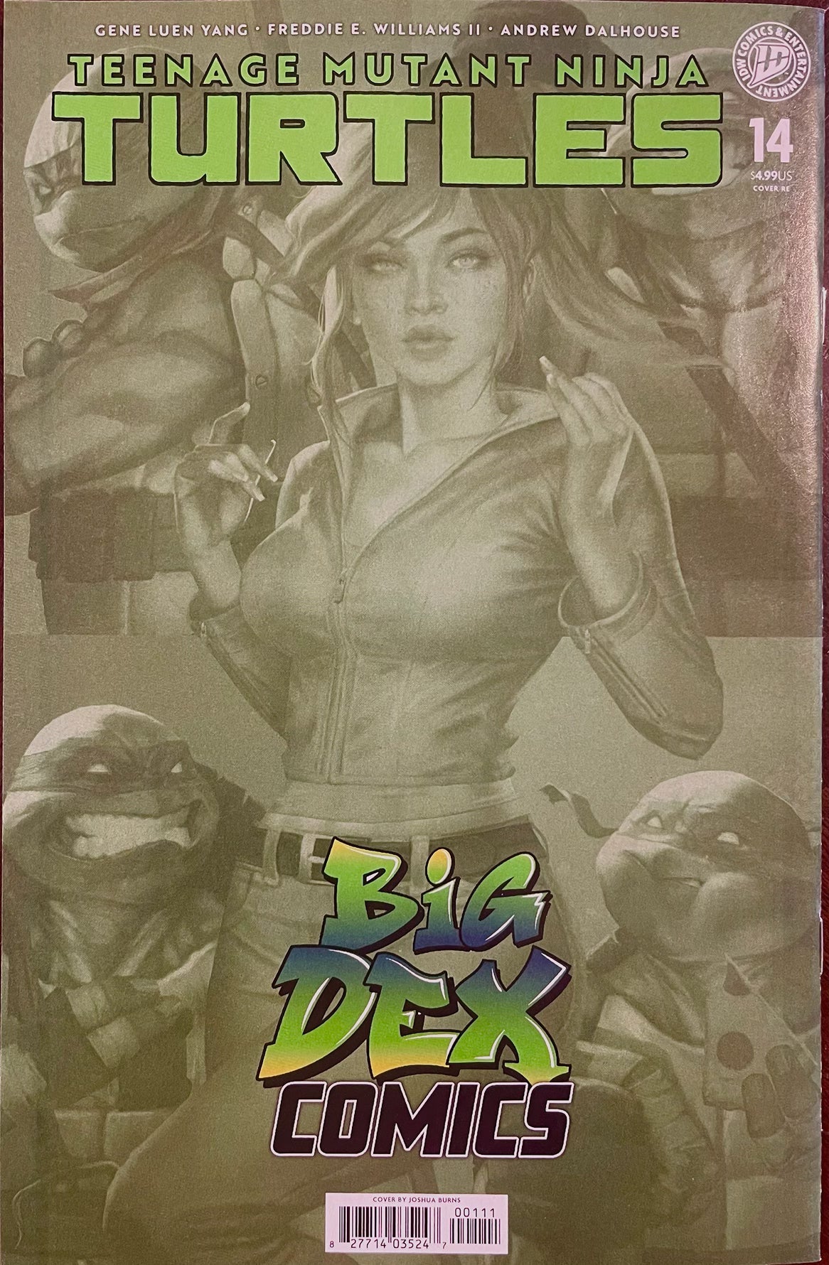 TEENAGE MUTANT NINJA TURTLES #14 - JOSH BURNS FOIL VARIANT