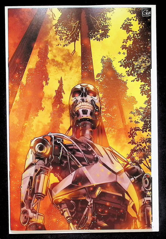 TERMINATOR #1 - GALMON RATIO 1:100 VIRGIN VARIANT NM+