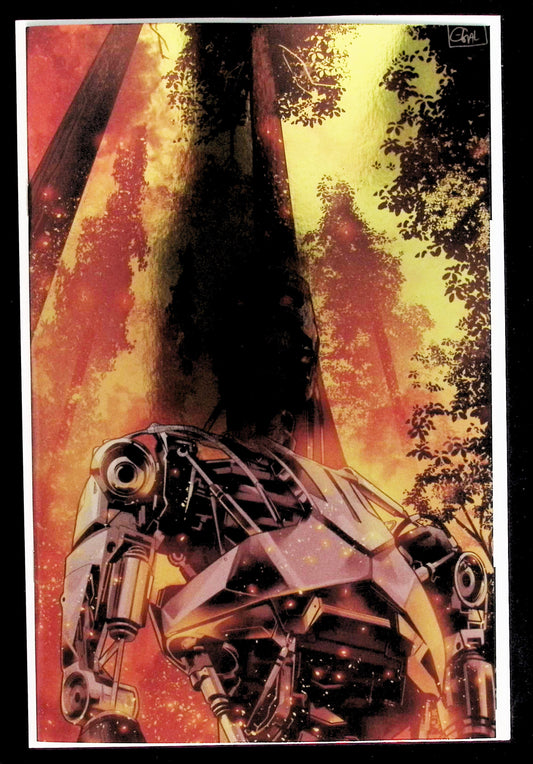 TERMINATOR #1 - GALMON RATIO 1:25 VIRGIN FOIL VARIANT NM+