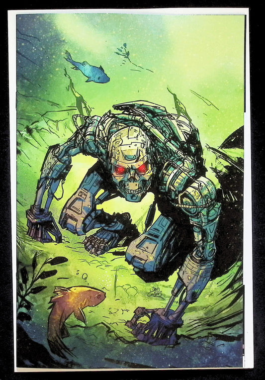 TERMINATOR #1 - COUSENS RATIO 1:30 VIRGIN VARIANT NM+