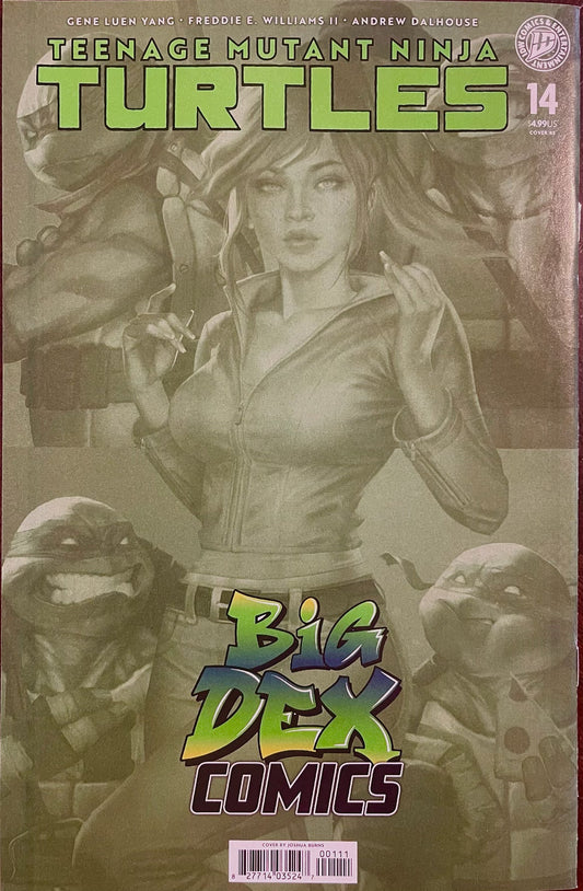 TEENAGE MUTANT NINJA TURTLES #14 - JOSH BURNS VIRGIN VARIANT