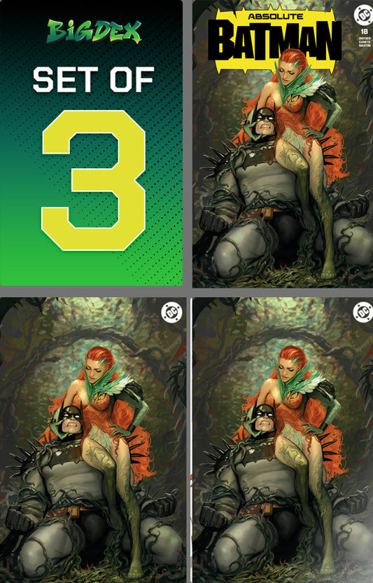 ABSOLUTE BATMAN #18 - STJEPAN SEJIC TRADE, VIRGIN & FOIL VARIANT BUNDLE SET